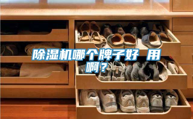除濕機哪個牌子好 用啊？