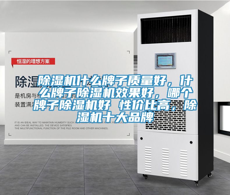 除濕機什么牌子質(zhì)量好，什么牌子除濕機效果好，哪個牌子除濕機好 性價比高，除濕機十大品牌
