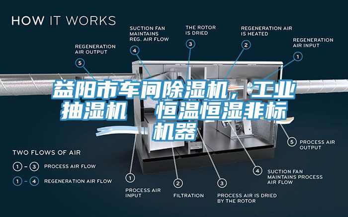 益陽(yáng)市車(chē)間除濕機(jī)，工業(yè)抽濕機(jī)  恒溫恒濕非標(biāo)機(jī)器
