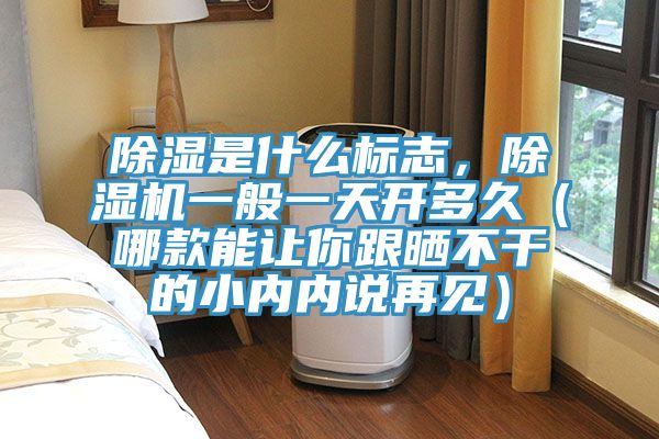 除濕是什么標(biāo)志，除濕機(jī)一般一天開(kāi)多久（哪款能讓你跟曬不干的小內(nèi)內(nèi)說(shuō)再見(jiàn)）