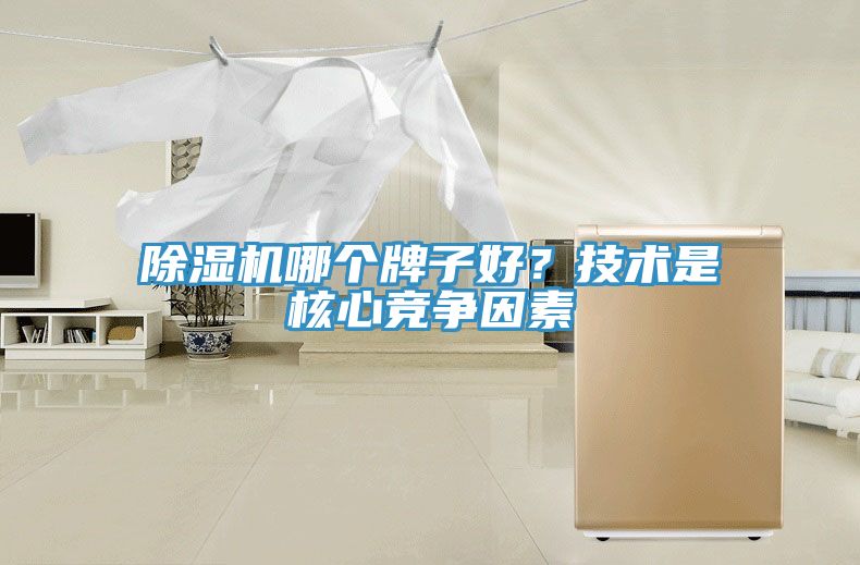 除濕機哪個牌子好？技術是核心競爭因素