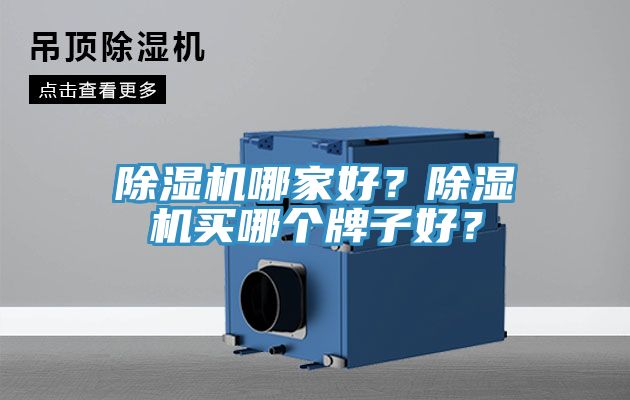 除濕機哪家好？除濕機買哪個牌子好？