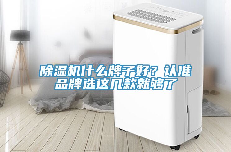 除濕機什么牌子好？認準品牌選這幾款就夠了