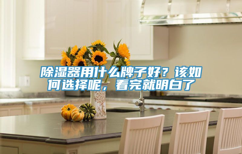 除濕器用什么牌子好？該如何選擇呢，看完就明白了