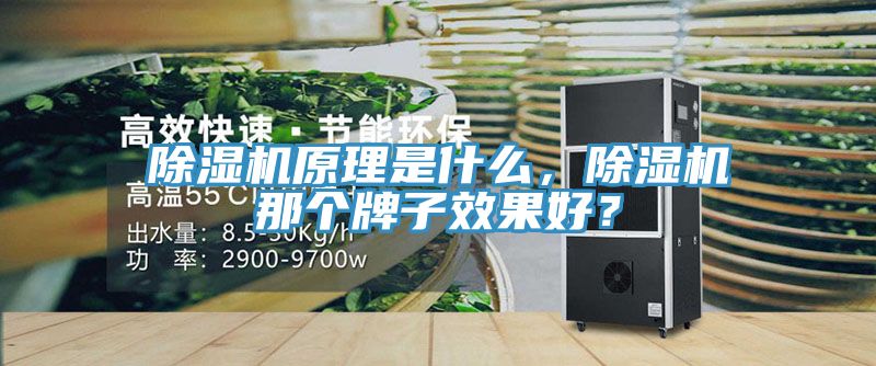 除濕機原理是什么，除濕機那個牌子效果好？