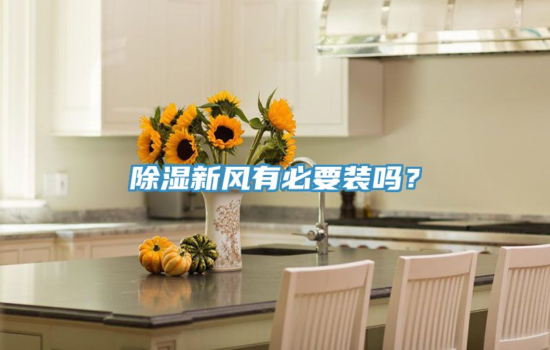 除濕新風(fēng)有必要裝嗎？