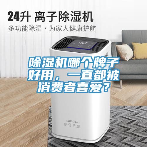 除濕機(jī)哪個(gè)牌子好用，一直都被消費(fèi)者喜愛？