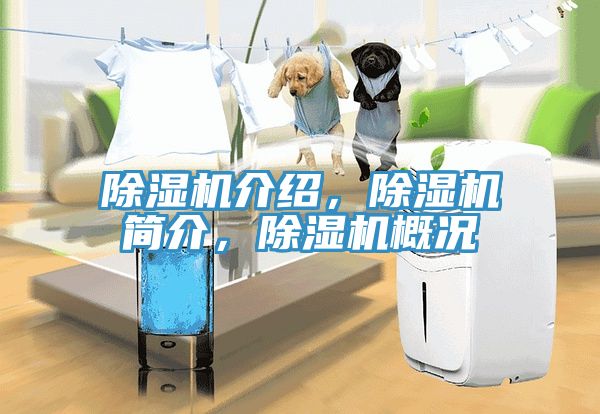 除濕機(jī)介紹，除濕機(jī)簡介，除濕機(jī)概況