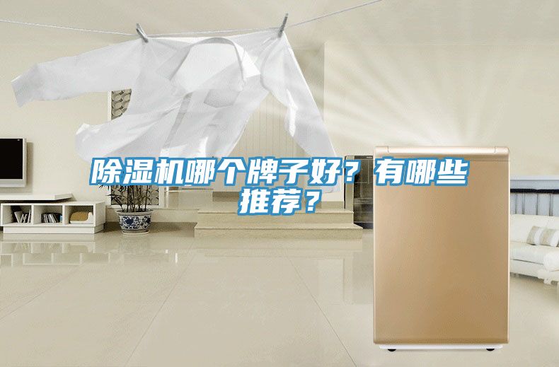 除濕機哪個牌子好？有哪些推薦？