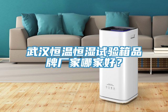 武漢恒溫恒濕試驗箱品牌廠家哪家好？