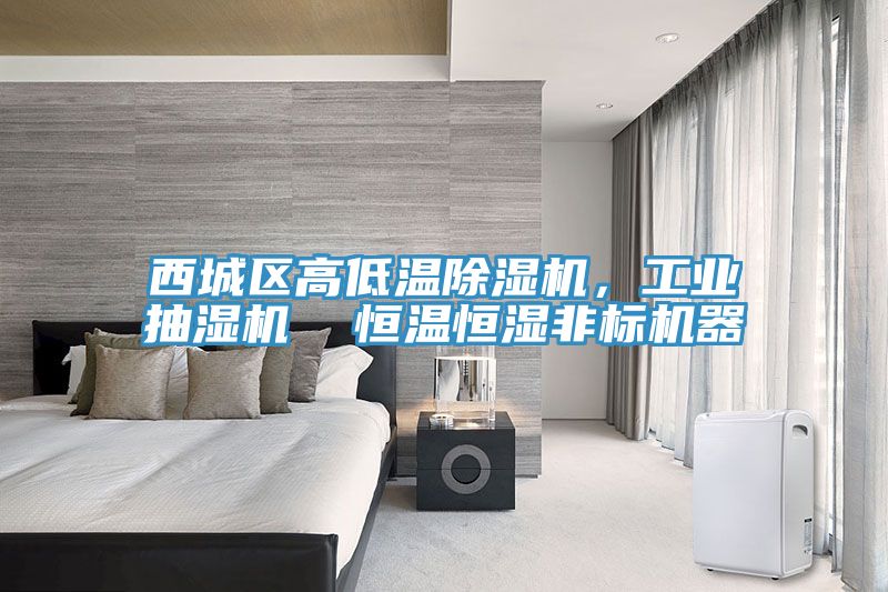 西城區(qū)高低溫除濕機(jī)，工業(yè)抽濕機(jī)  恒溫恒濕非標(biāo)機(jī)器