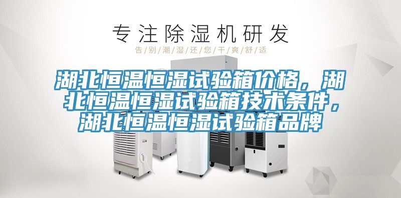 湖北恒溫恒濕試驗箱價格，湖北恒溫恒濕試驗箱技術條件，湖北恒溫恒濕試驗箱品牌