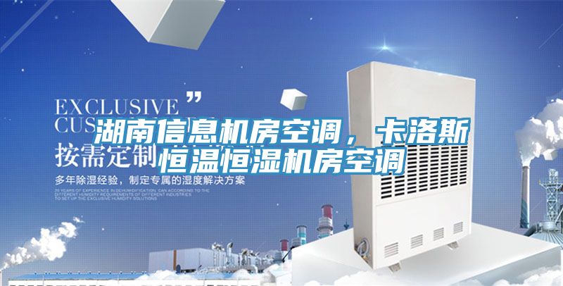 湖南信息機(jī)房空調(diào)，卡洛斯恒溫恒濕機(jī)房空調(diào)