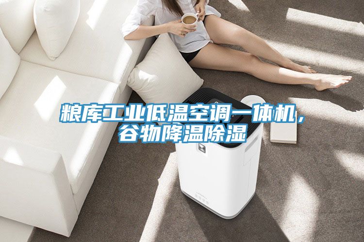 糧庫工業(yè)低溫空調(diào)一體機(jī)，谷物降溫除濕