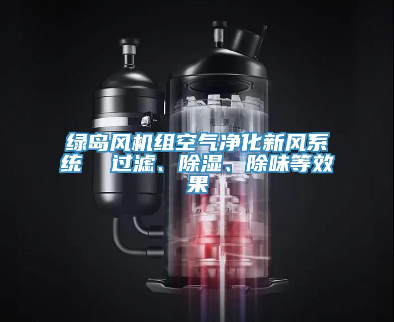 綠島風(fēng)機(jī)組空氣凈化新風(fēng)系統(tǒng)  過(guò)濾、除濕、除味等效果