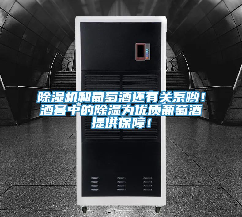 除濕機和葡萄酒還有關系喲！酒窖中的除濕為優(yōu)質(zhì)葡萄酒提供保障！