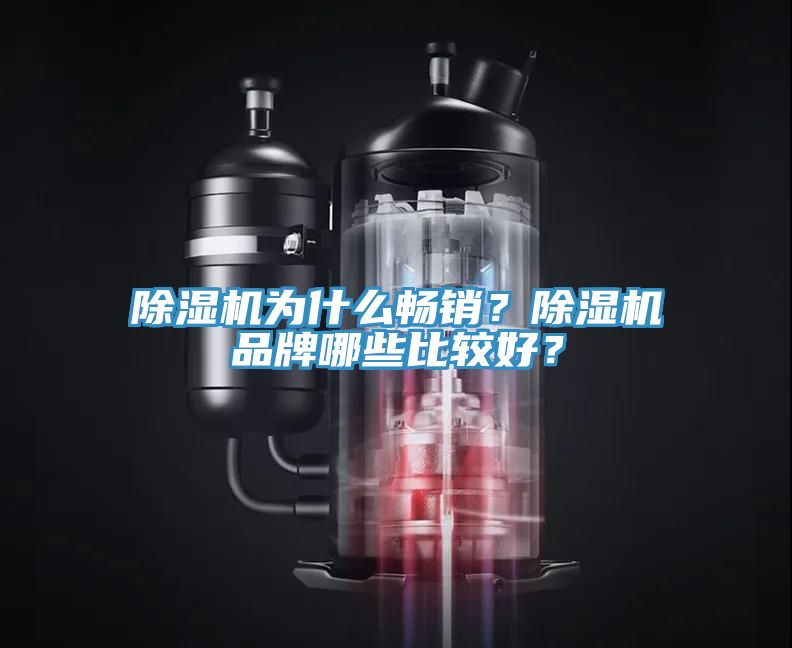 除濕機(jī)為什么暢銷(xiāo)？除濕機(jī)品牌哪些比較好？
