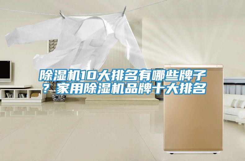 除濕機(jī)10大排名有哪些牌子？家用除濕機(jī)品牌十大排名