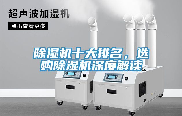 除濕機(jī)十大排名，選購除濕機(jī)深度解讀