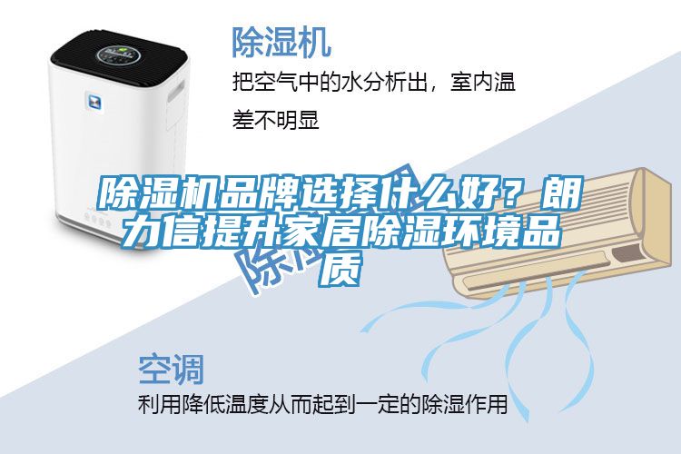 除濕機(jī)品牌選擇什么好？朗力信提升家居除濕環(huán)境品質(zhì)