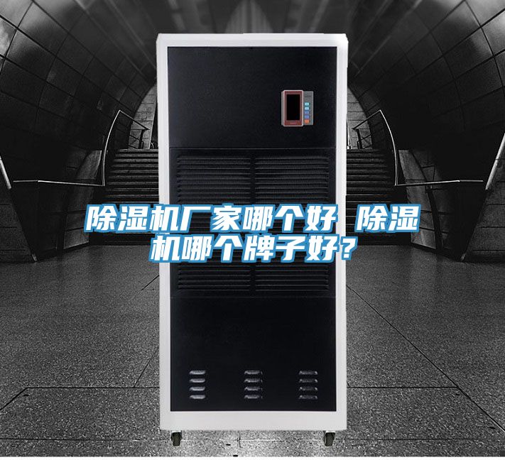 除濕機(jī)廠家哪個(gè)好 除濕機(jī)哪個(gè)牌子好？
