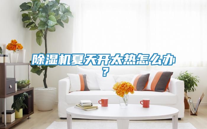 除濕機(jī)夏天開太熱怎么辦？