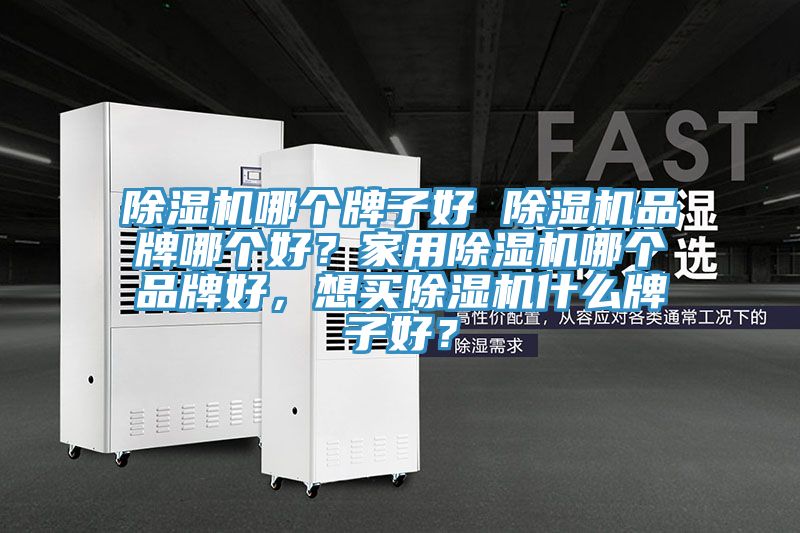 除濕機哪個牌子好 除濕機品牌哪個好？家用除濕機哪個品牌好，想買除濕機什么牌子好？