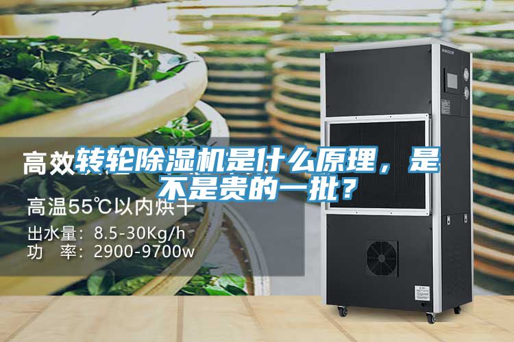 轉(zhuǎn)輪除濕機(jī)是什么原理，是不是貴的一批？