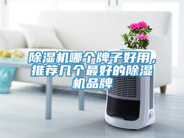 除濕機(jī)哪個(gè)牌子好用，推薦幾個(gè)最好的除濕機(jī)品牌