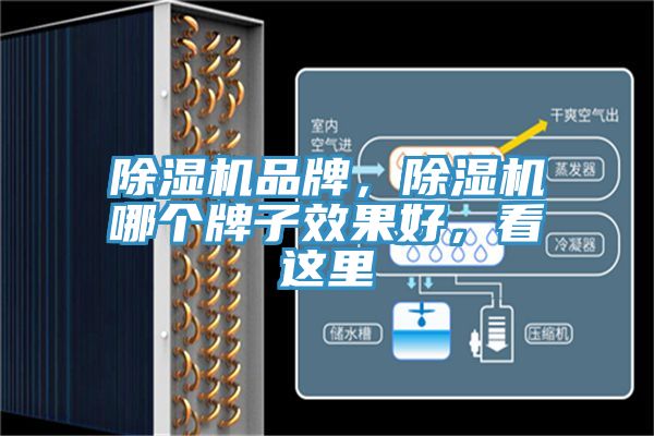 除濕機(jī)品牌，除濕機(jī)哪個(gè)牌子效果好，看這里