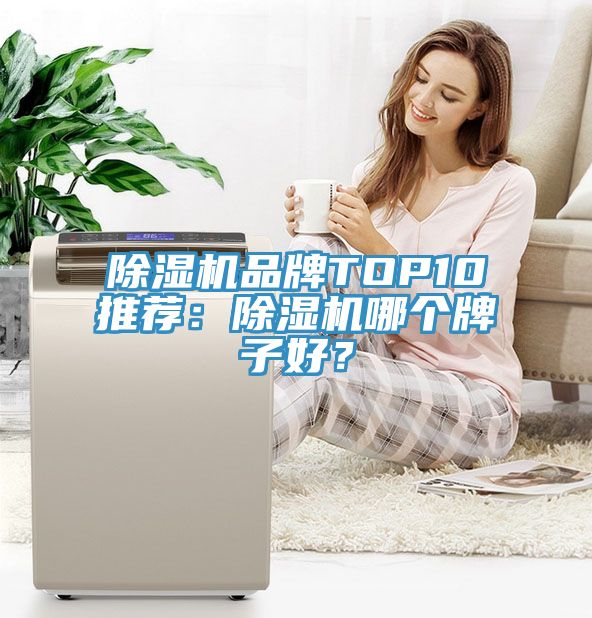 除濕機(jī)品牌TOP10推薦：除濕機(jī)哪個牌子好？