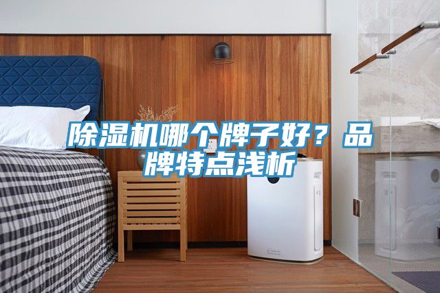 除濕機(jī)哪個(gè)牌子好？品牌特點(diǎn)淺析