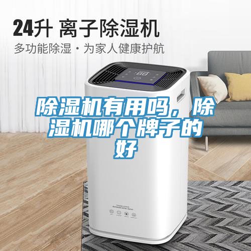 除濕機有用嗎，除濕機哪個牌子的好