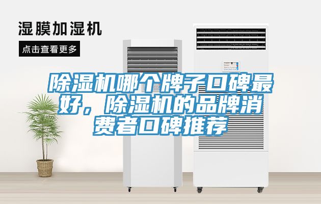 除濕機(jī)哪個(gè)牌子口碑最好，除濕機(jī)的品牌消費(fèi)者口碑推薦