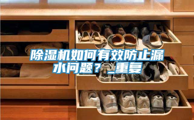 除濕機如何有效防止漏水問題？_重復