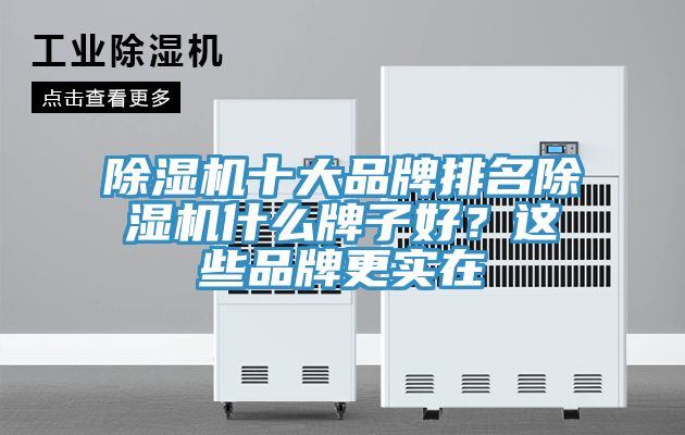 除濕機十大品牌排名除濕機什么牌子好？這些品牌更實在