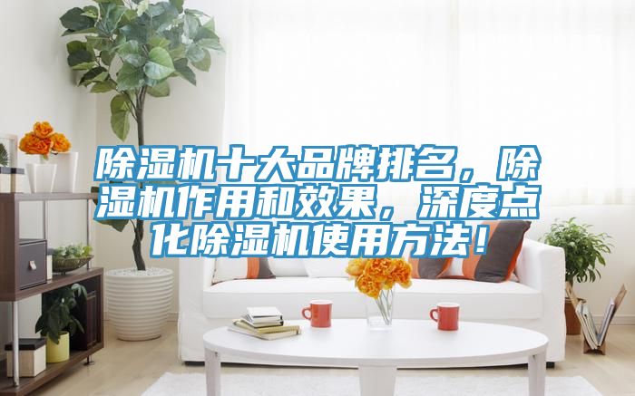 除濕機十大品牌排名，除濕機作用和效果，深度點化除濕機使用方法！