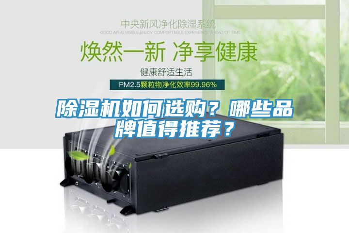 除濕機如何選購？哪些品牌值得推薦？