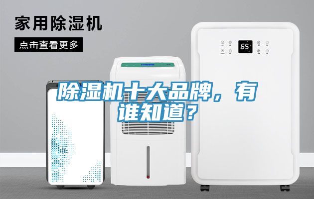 除濕機十大品牌，有誰知道？