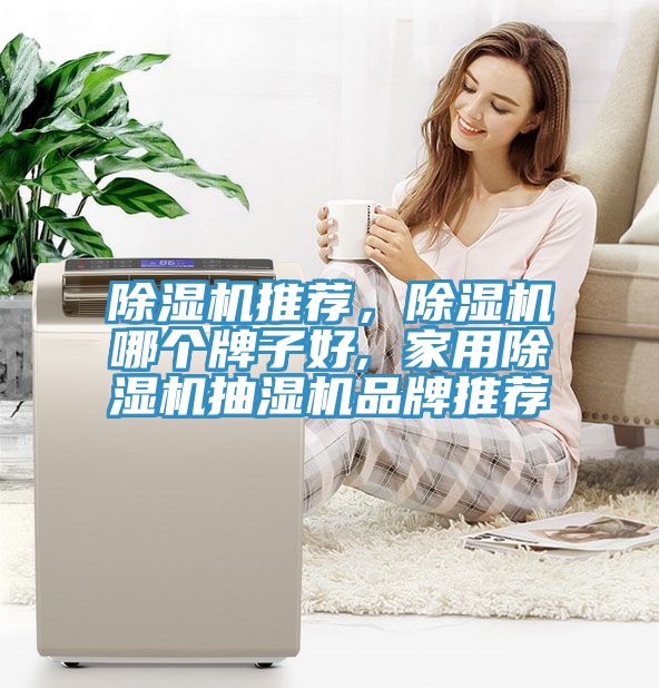 除濕機推薦，除濕機哪個牌子好, 家用除濕機抽濕機品牌推薦
