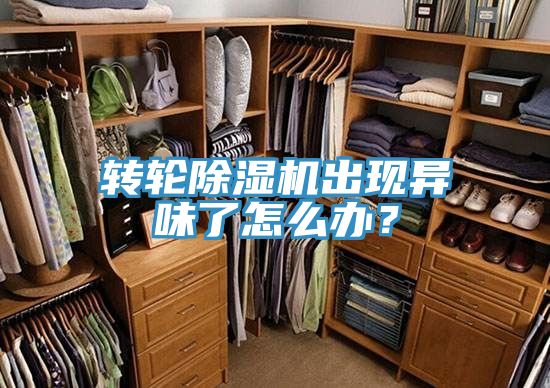 轉(zhuǎn)輪除濕機(jī)出現(xiàn)異味了怎么辦？