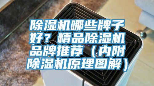 除濕機(jī)哪些牌子好？精品除濕機(jī)品牌推薦（內(nèi)附除濕機(jī)原理圖解）