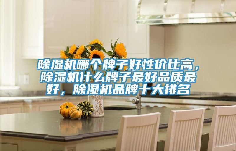 除濕機哪個牌子好性價比高，除濕機什么牌子最好品質(zhì)最好，除濕機品牌十大排名