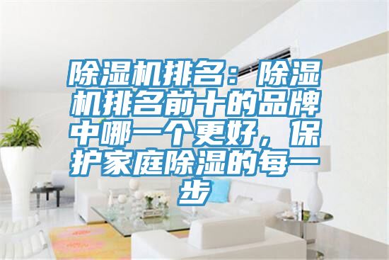除濕機排名：除濕機排名前十的品牌中哪一個更好，保護家庭除濕的每一步
