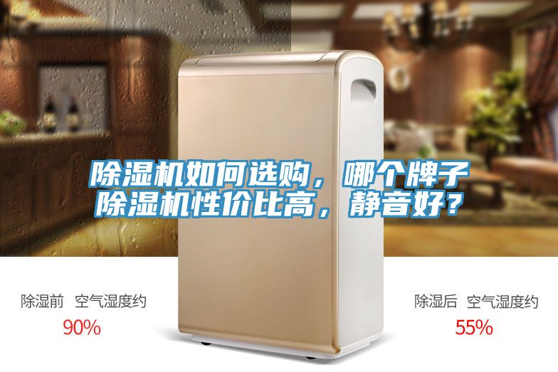除濕機(jī)如何選購，哪個(gè)牌子除濕機(jī)性價(jià)比高，靜音好？