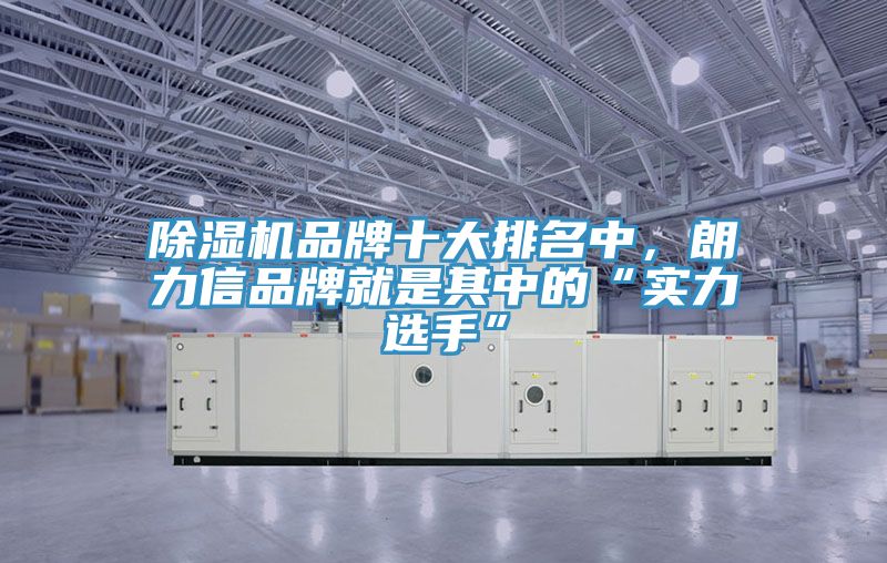 除濕機品牌十大排名中，朗力信品牌就是其中的“實力選手”