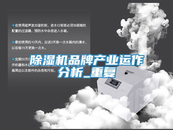 除濕機(jī)品牌產(chǎn)業(yè)運作分析_重復(fù)