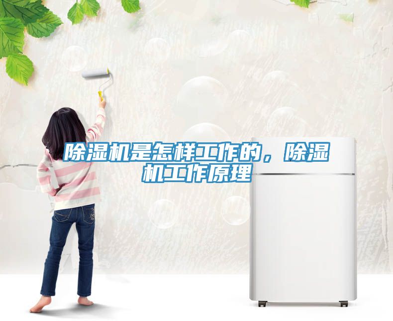 除濕機是怎樣工作的，除濕機工作原理