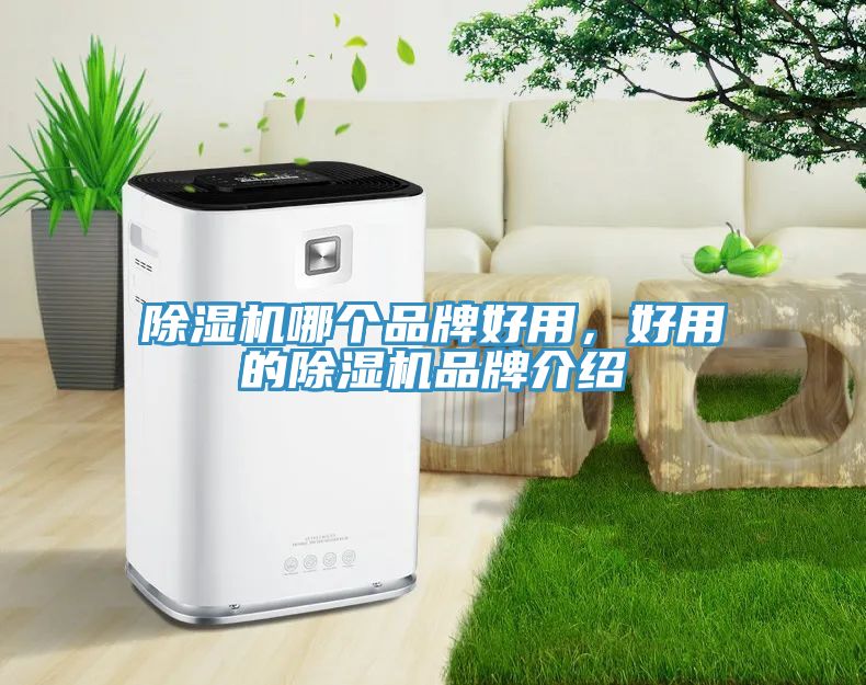除濕機(jī)哪個(gè)品牌好用，好用的除濕機(jī)品牌介紹