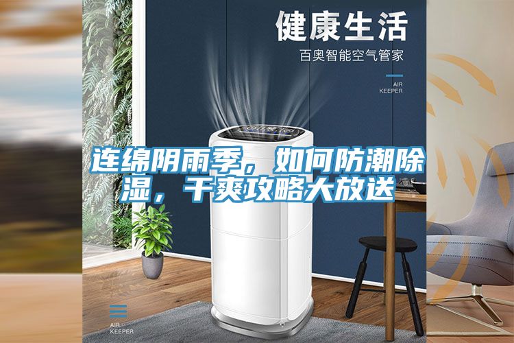 連綿陰雨季，如何防潮除濕，干爽攻略大放送